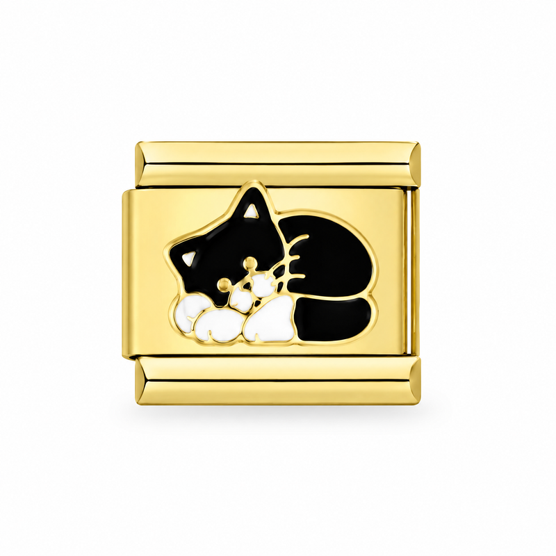 Chat noir et blanc