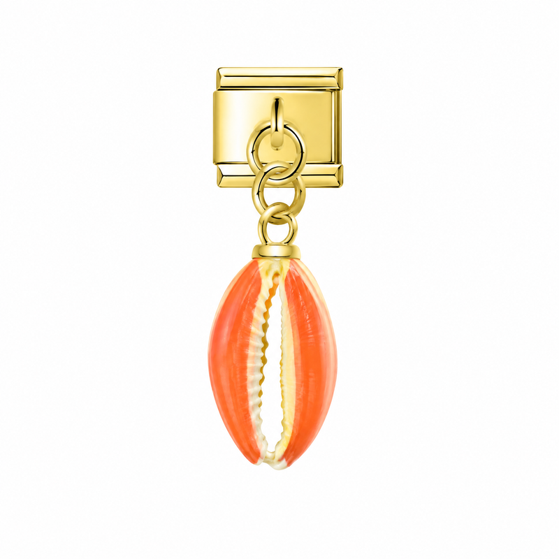 Coquillage corail