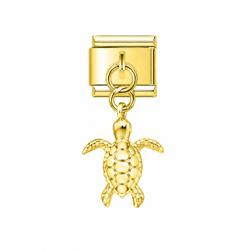 Tortue dorée