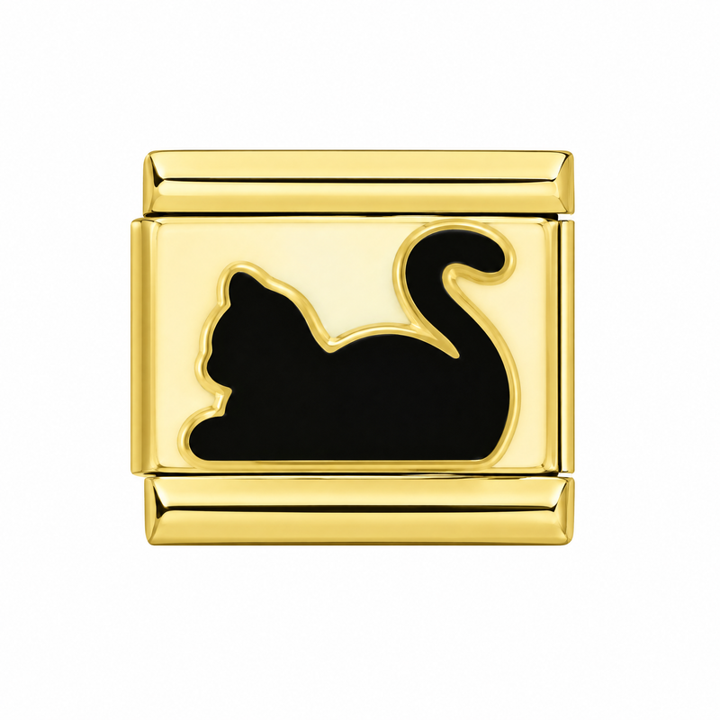 Chat noir